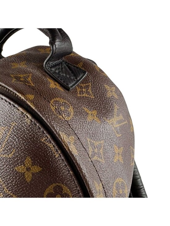 Louis Vuitton Palm Springs Backpack PM main image 5